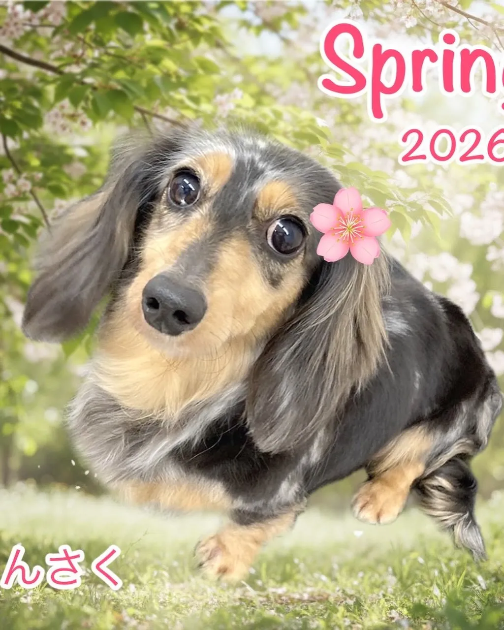 なんとこの週末4月11日で1周年となります‼️