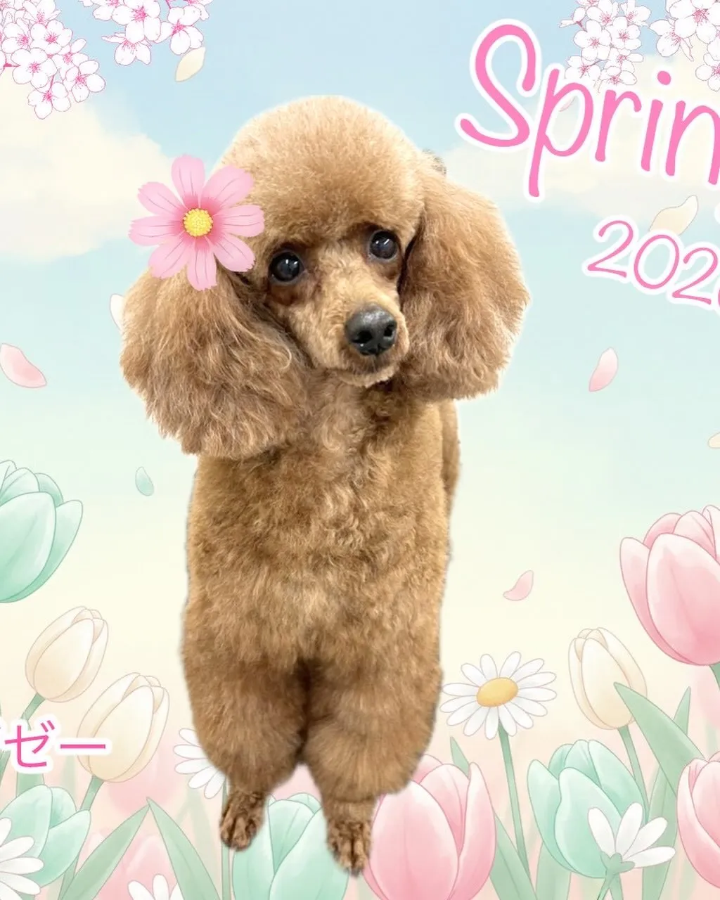 なんとこの週末4月11日で1周年となります‼️