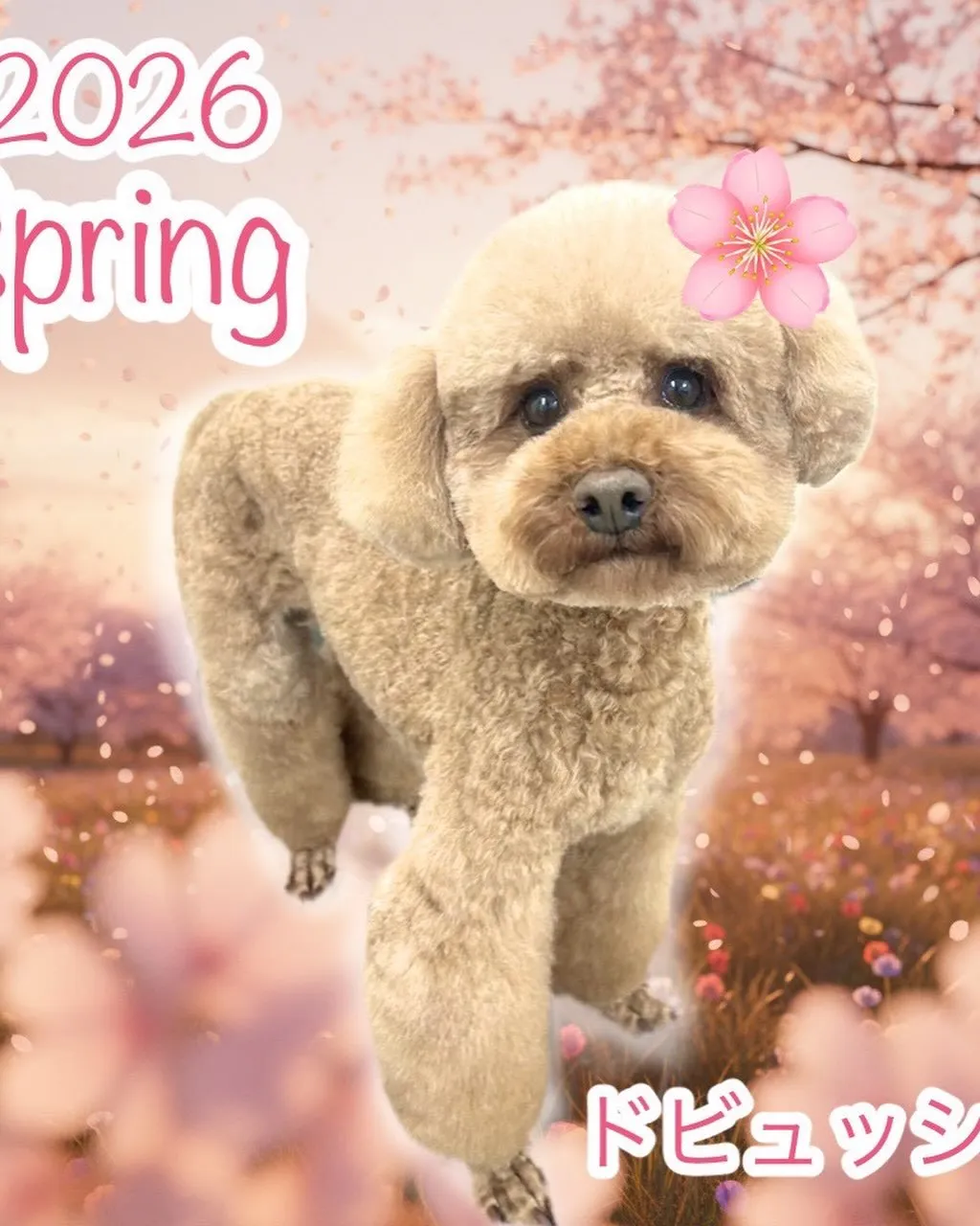 なんとこの週末4月11日で1周年となります‼️