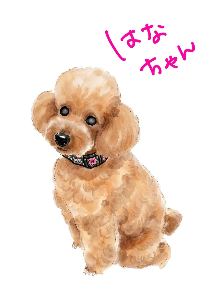 就労継続支援B型作業所でのお仕事紹介！part６！