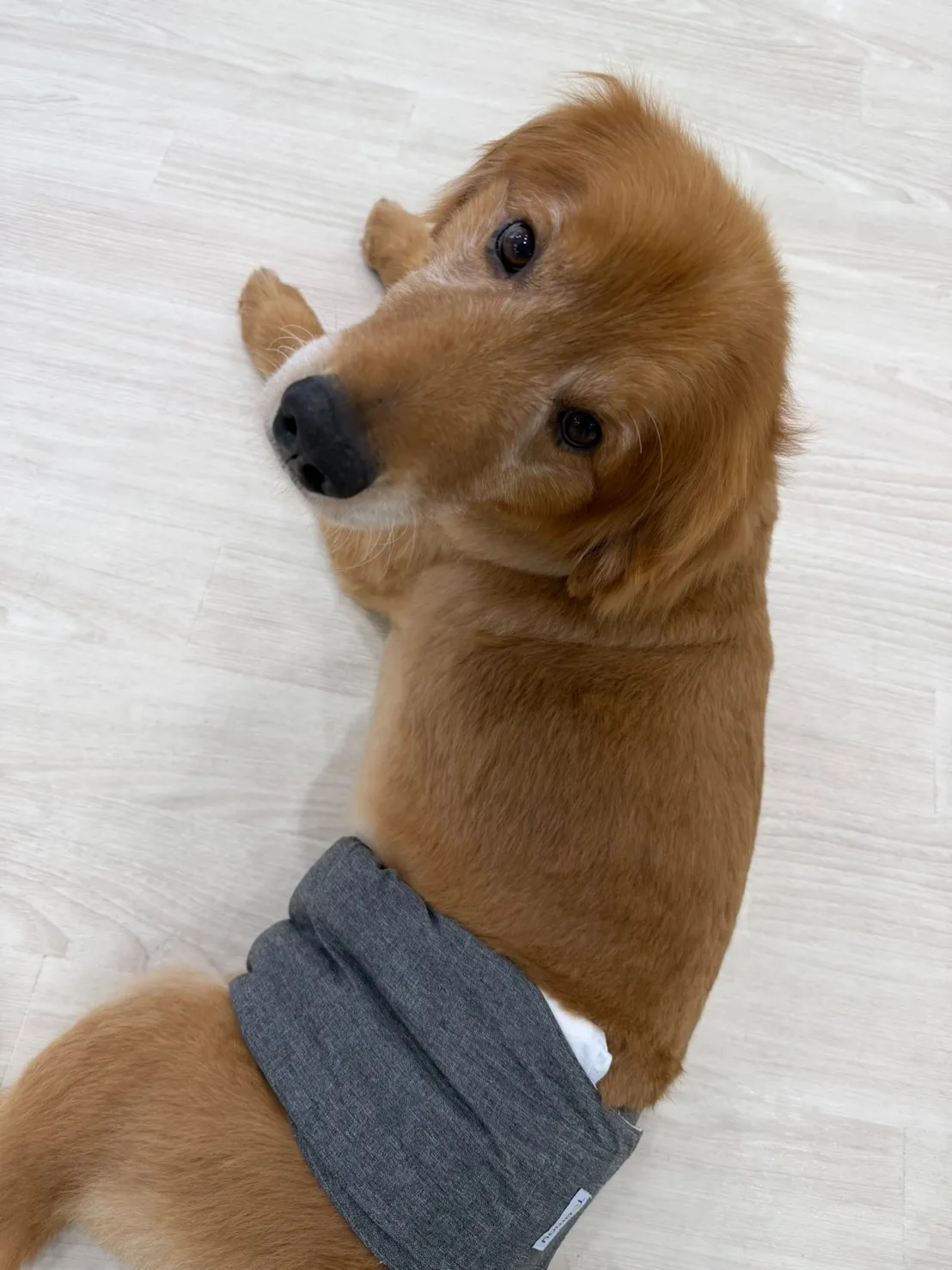体重測定日!