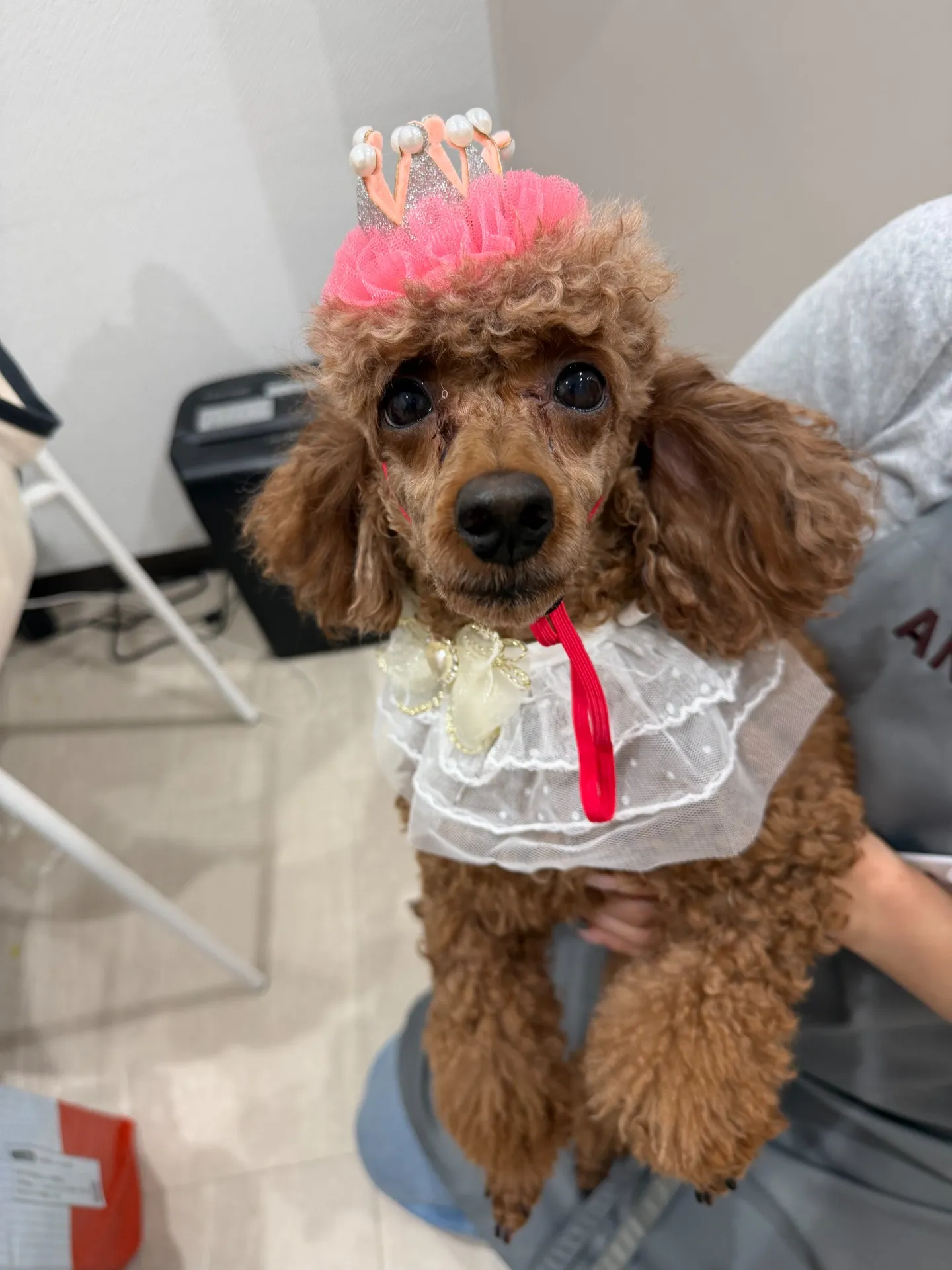 本日のベストショット📸✨