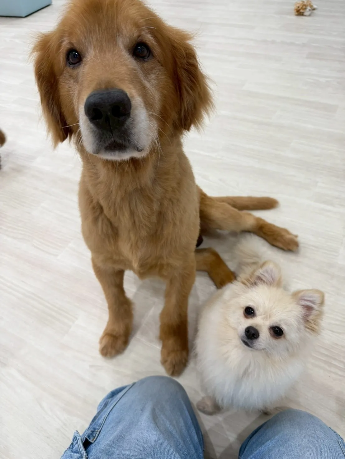 本日のベストショット📸✨