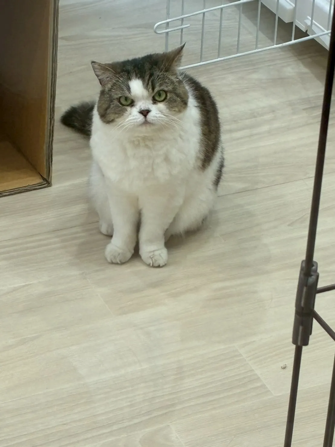 感謝しております！