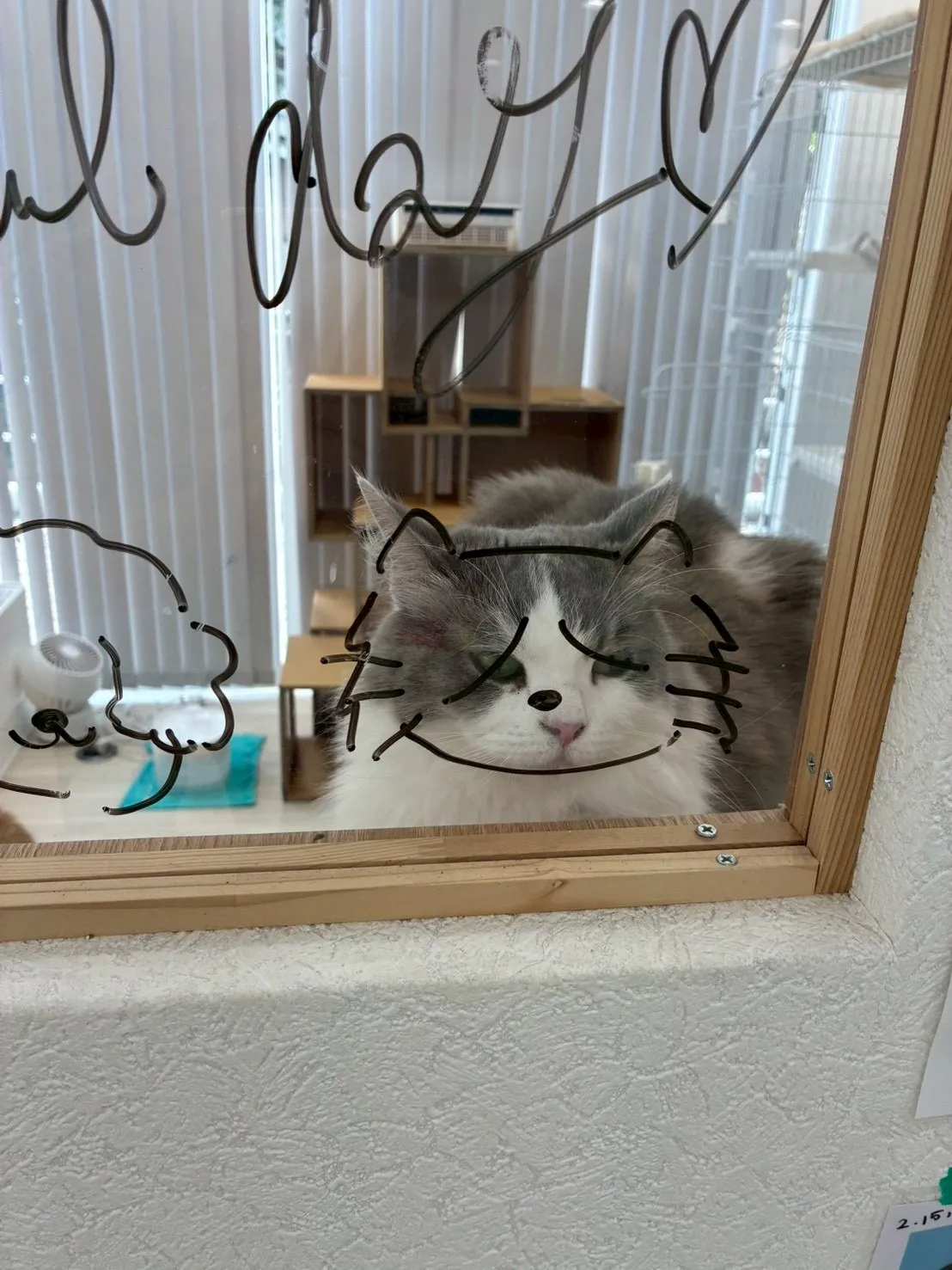 落ち着いた一日