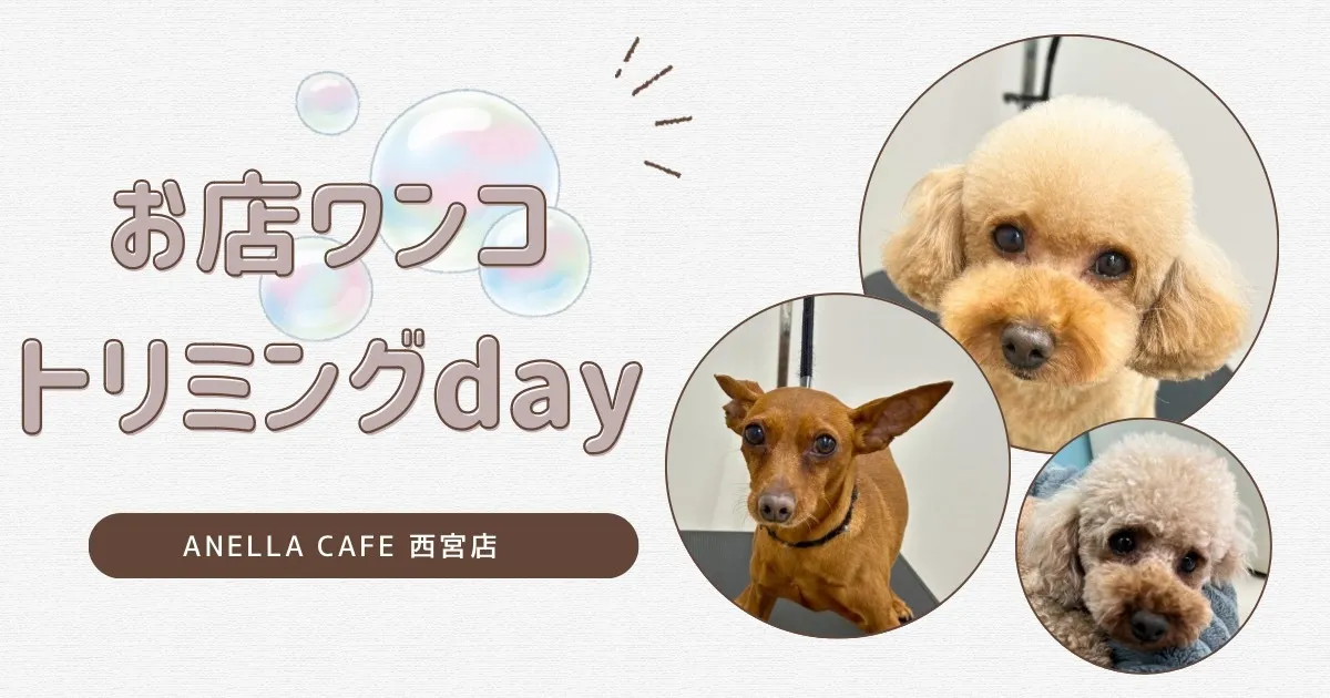 お店わんこのトリミング行いました～♪