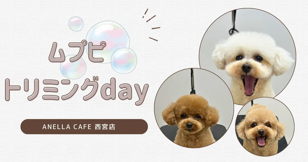 ムプピトリミングデーでした♪