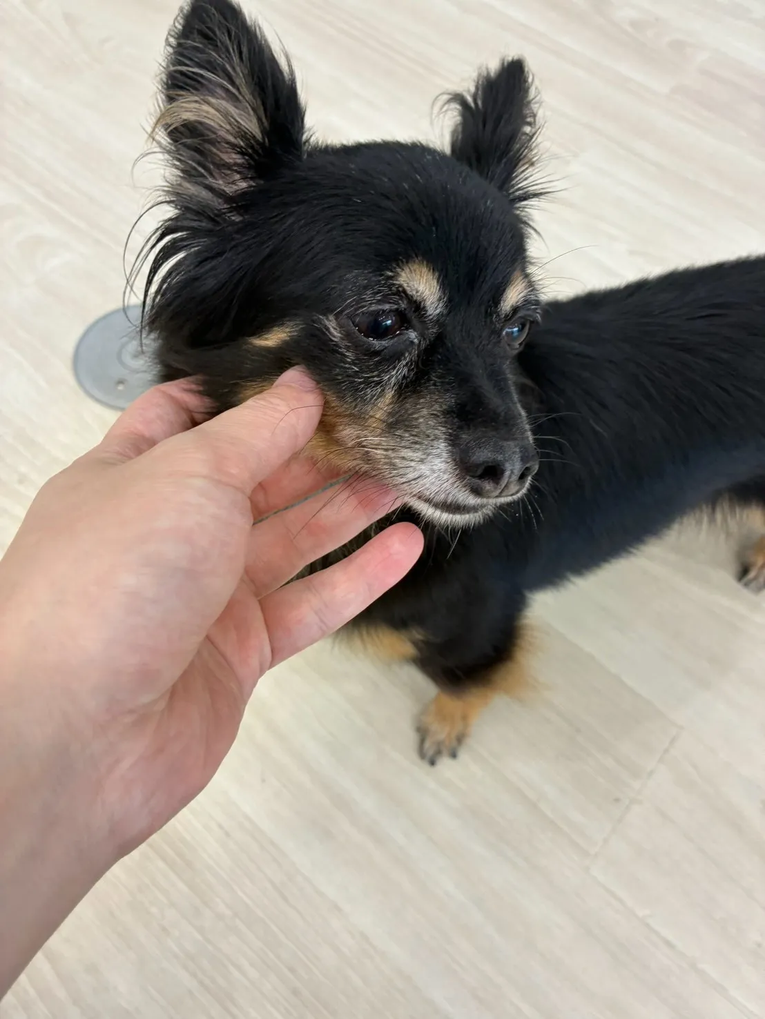 甘えん坊な一日