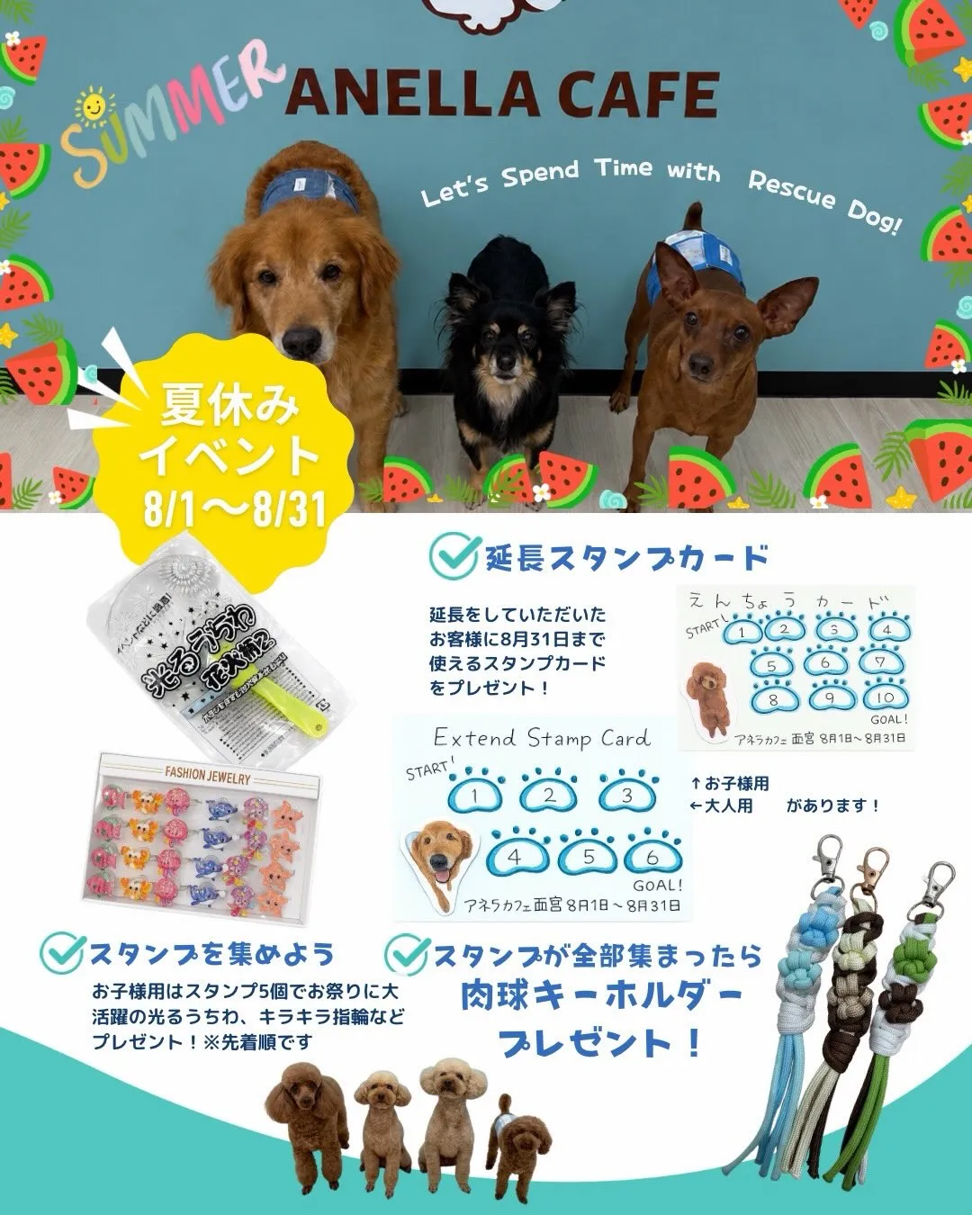 夏休みイベント始めます‼️