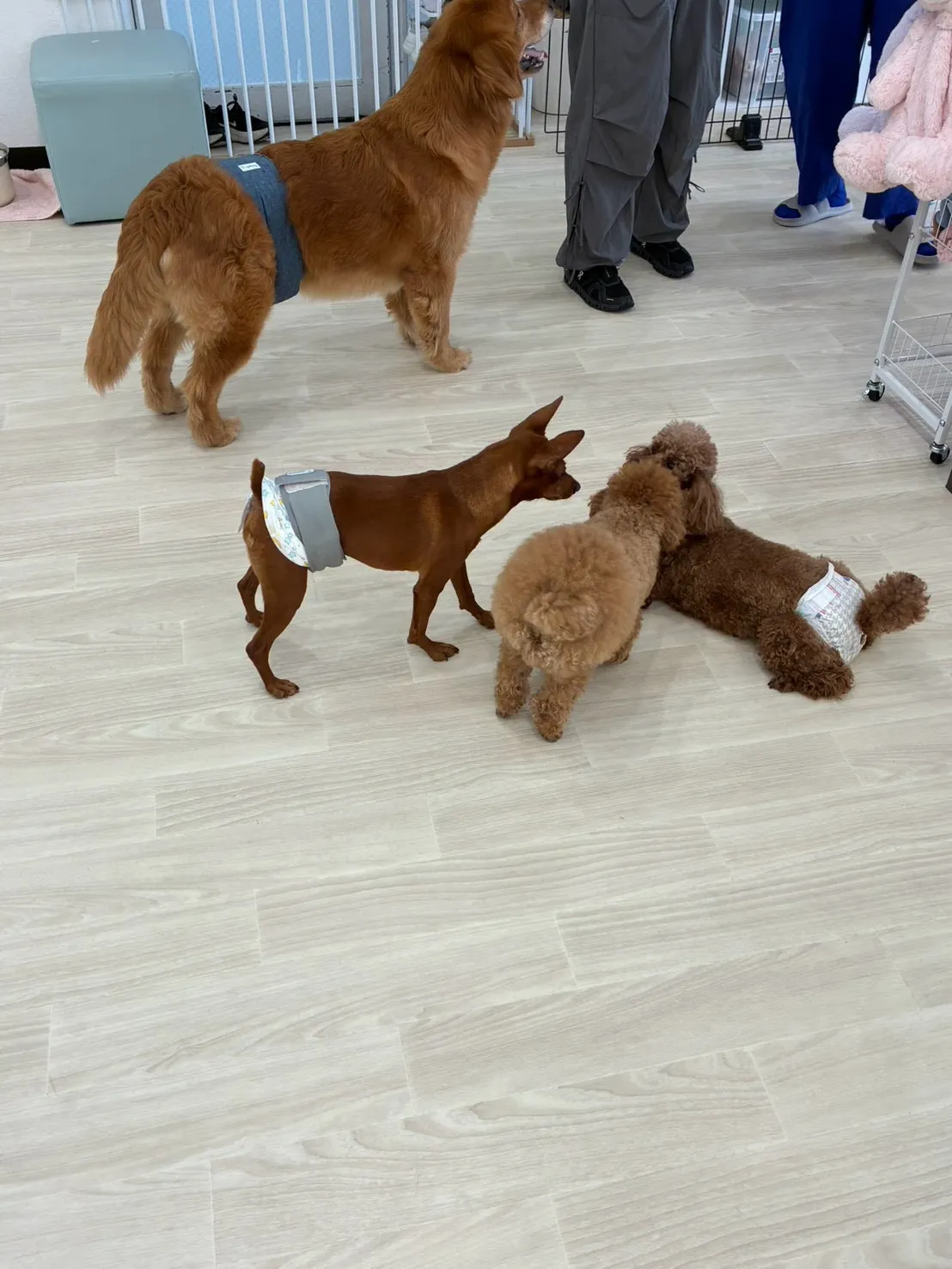 お盆休みであってる?