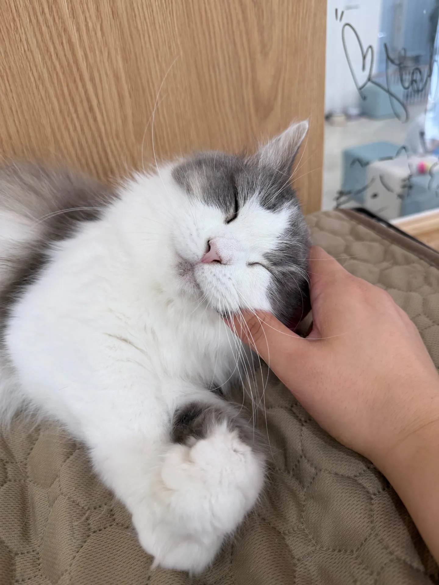 本日のベストショット📸✨