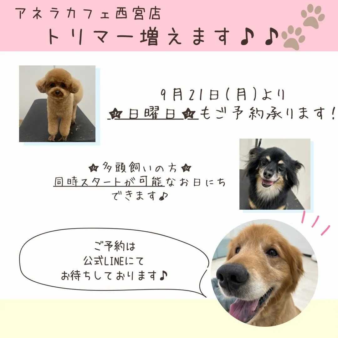 お待たせしました！！
