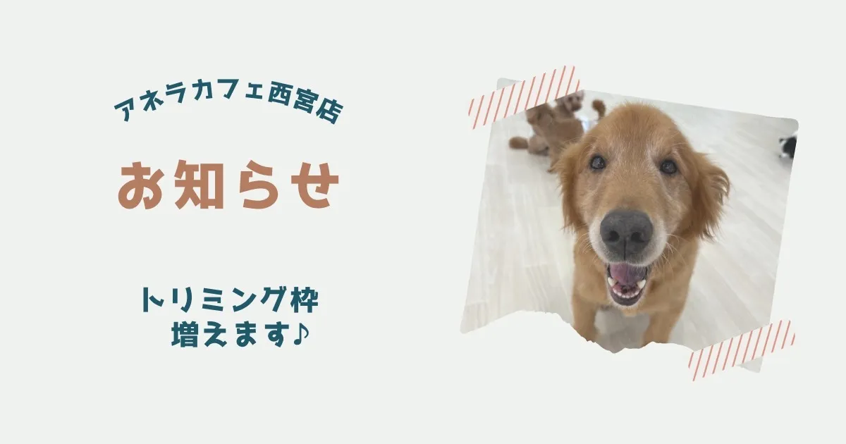 トリミング枠が増えます！♪