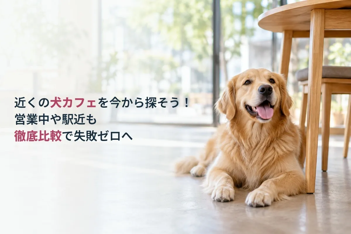 近くの犬カフェを今から探そう！営業中や駅近も徹底比較で失敗ゼロへ