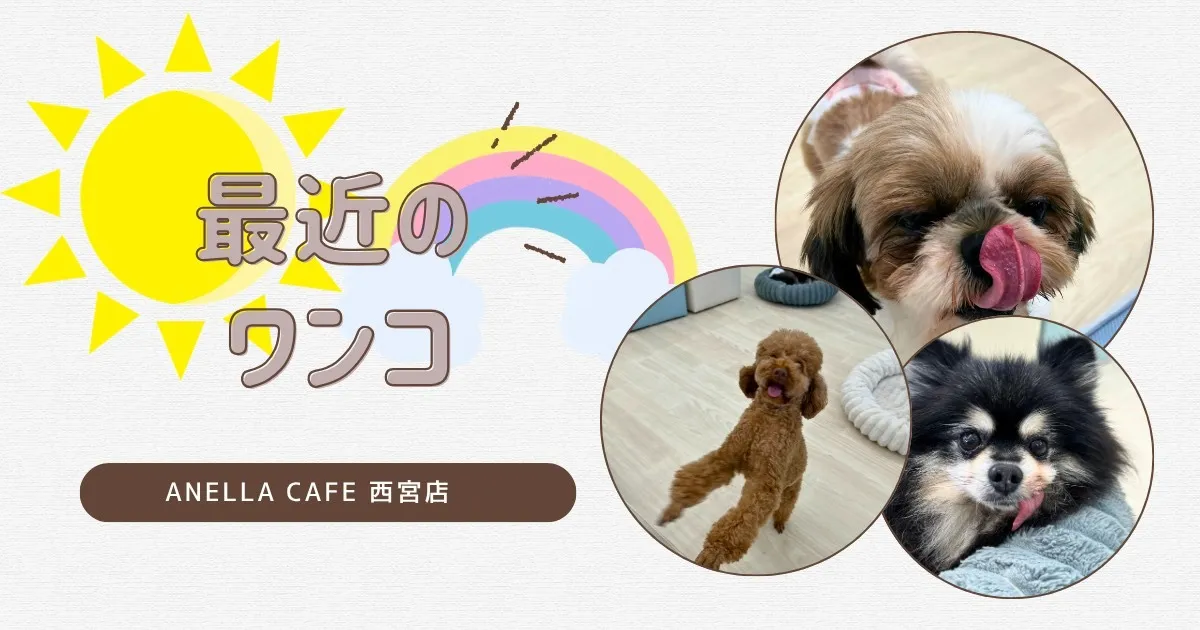 最近のワンコ様子です～★