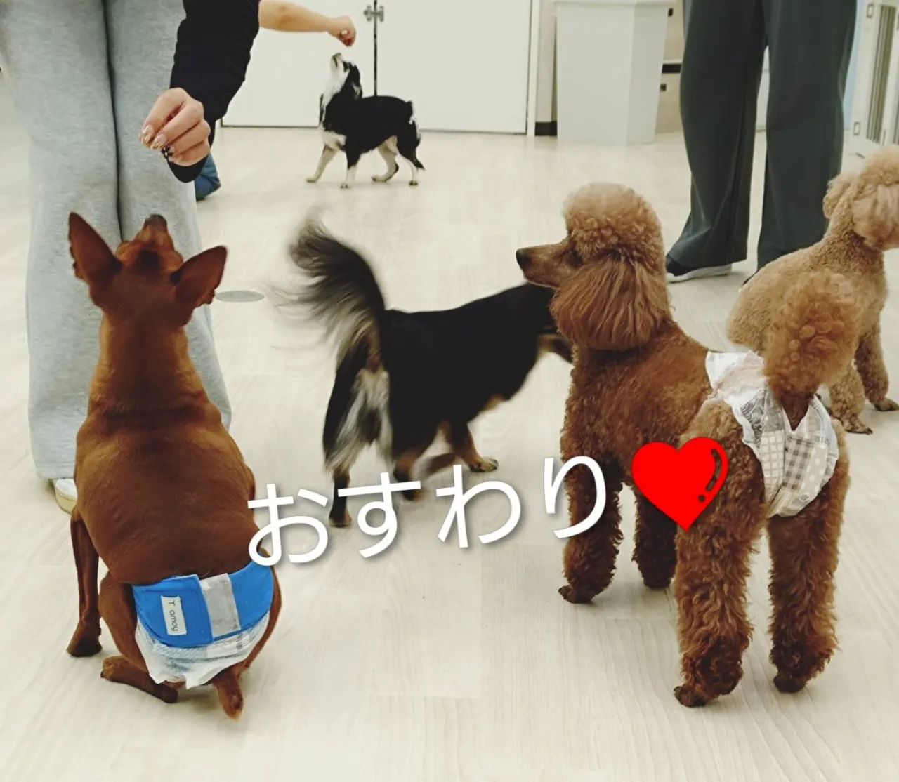 ９月28日のイベントのご様子　☆第２段☆