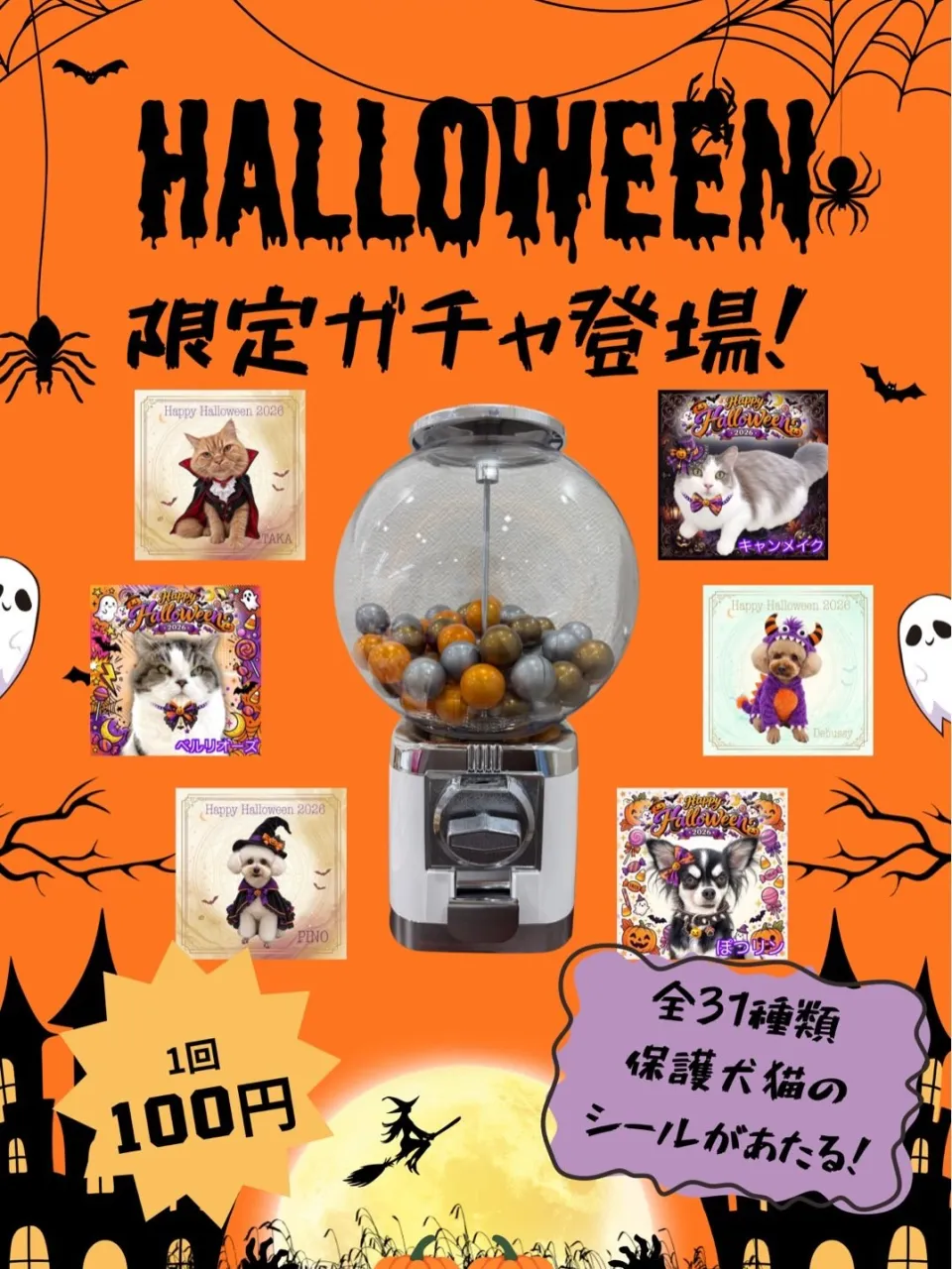 🎃 アネラのハッピーハロウィンイベント開催！👻