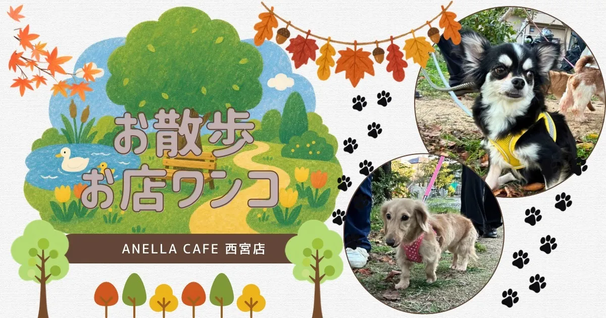 お散歩行ってきました～♪