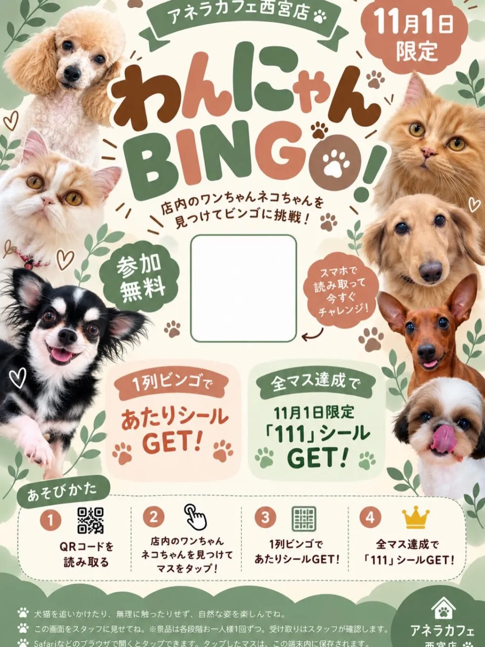 明日は11月1日 ワンワンワンの日!!!