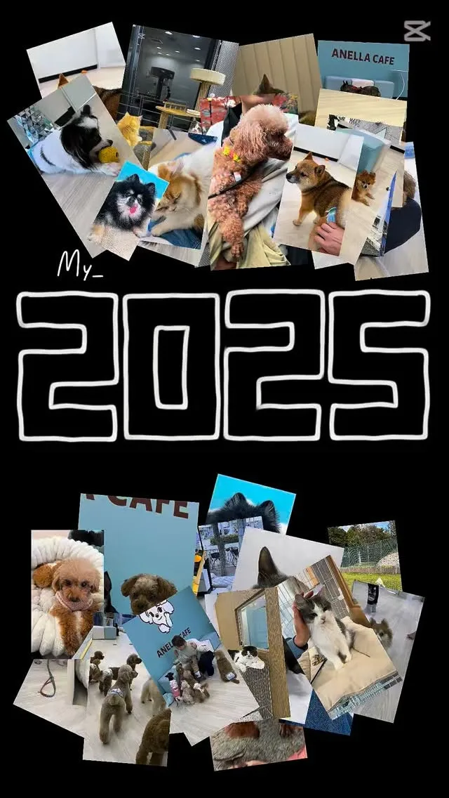 アネラカフェ西宮店は2025年4月11日にオープンし、