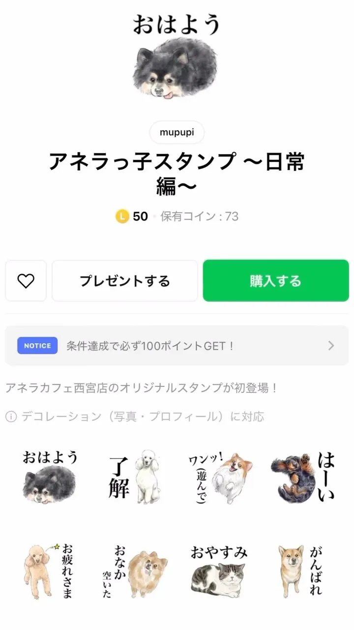 なんと西宮店のアネラっ子たちが